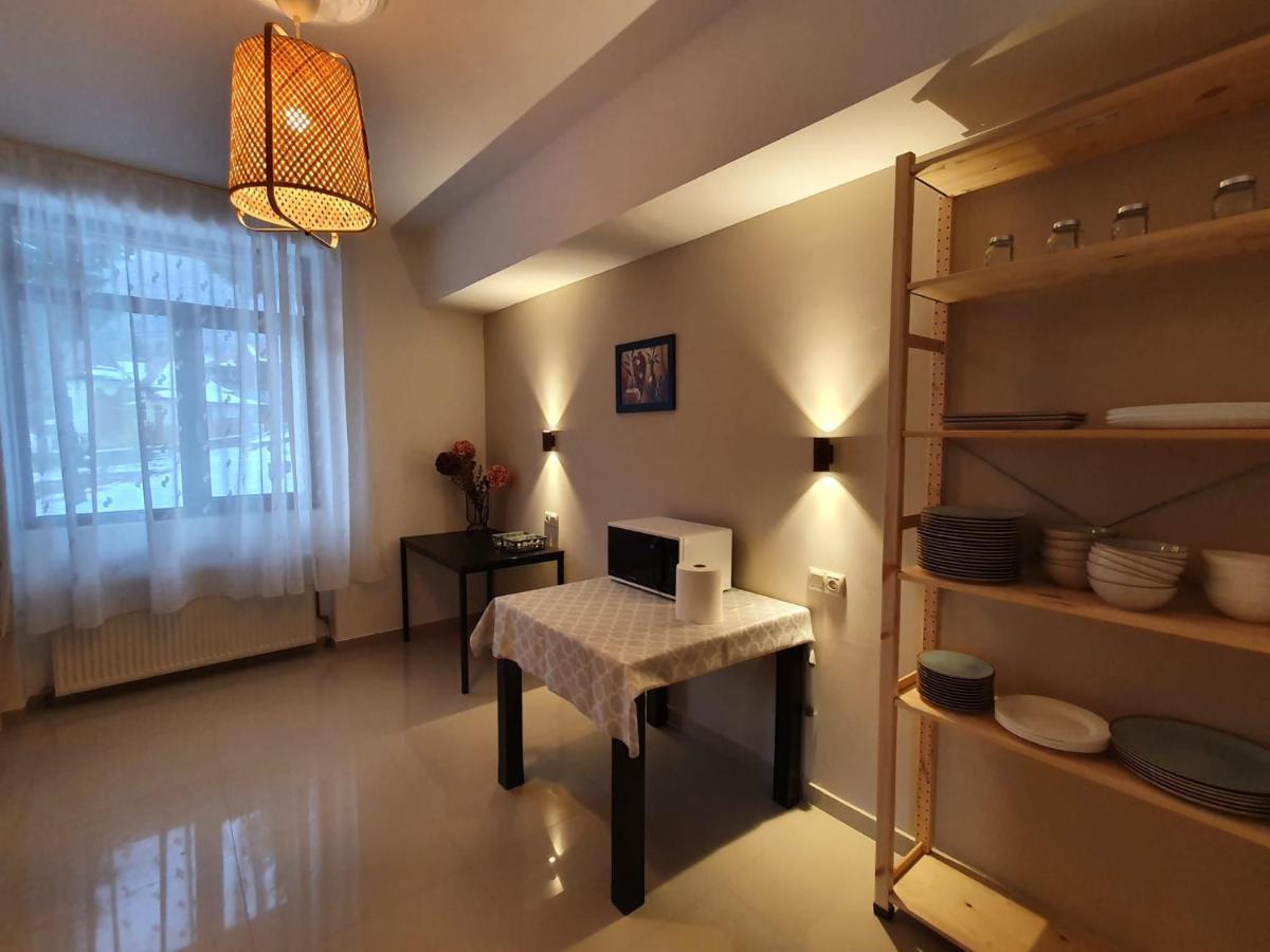 Vila Panoramic Buşteni Extérieur photo