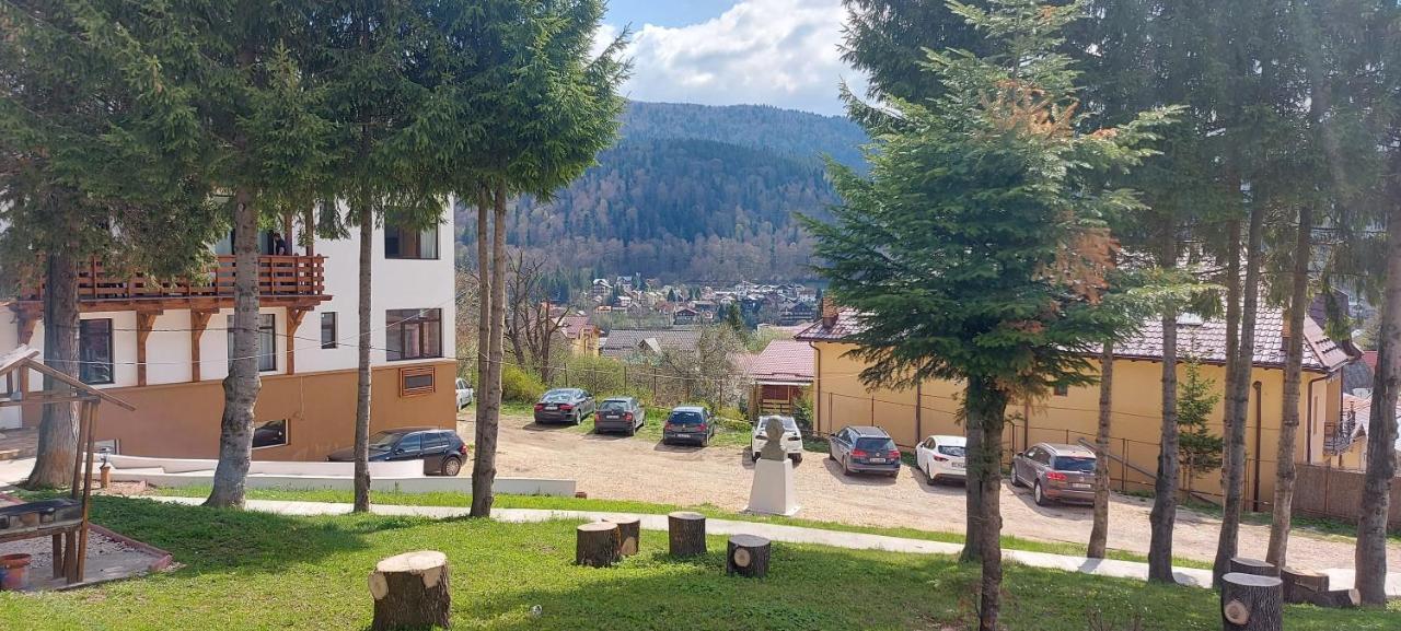 Vila Panoramic Buşteni Extérieur photo