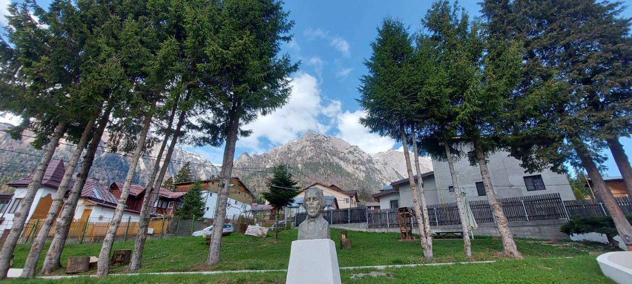 Vila Panoramic Buşteni Extérieur photo