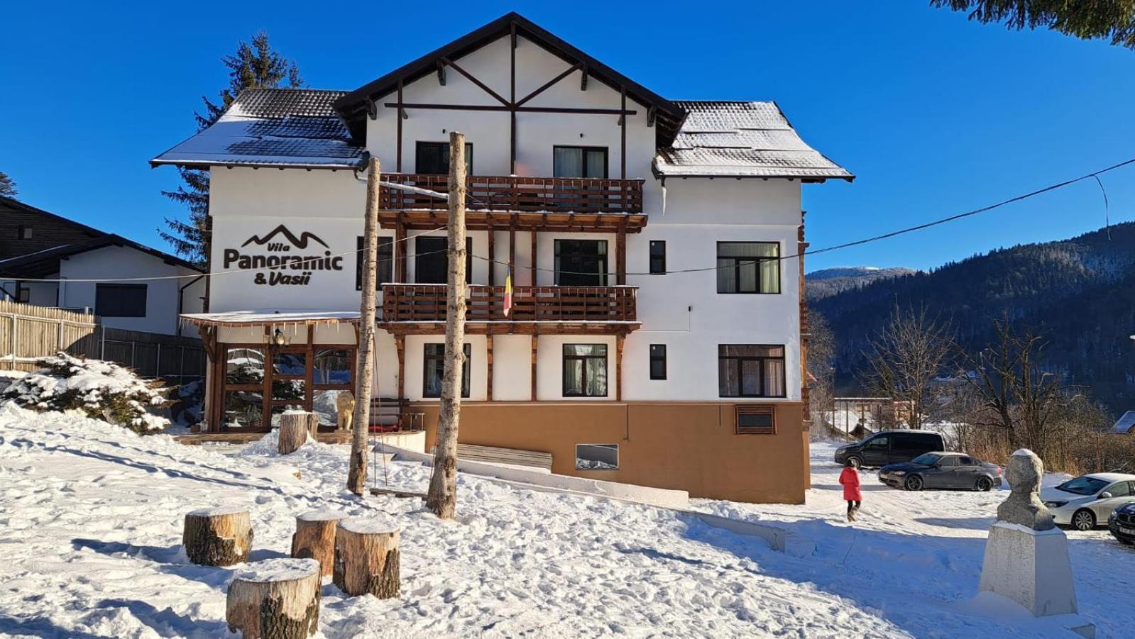 Vila Panoramic Buşteni Extérieur photo